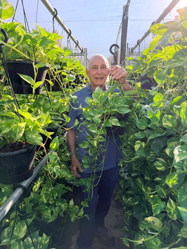 Mike Costa holding a pothos hanging basket in the greenhouse at The Lost Horizons Nursery